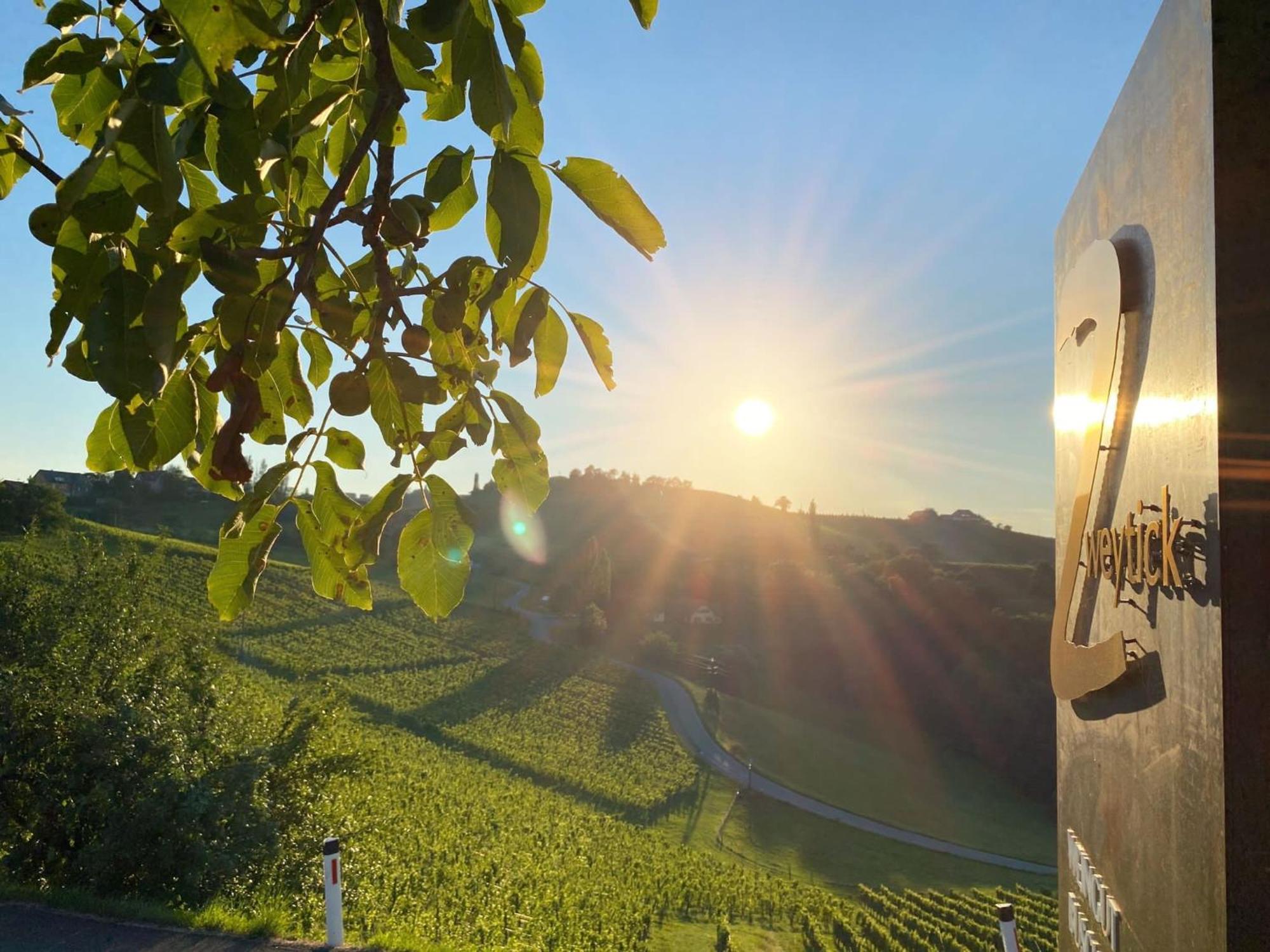 Zweytick Gaestezimmer Weingut Ratsch an der Weinstraße 外观 照片