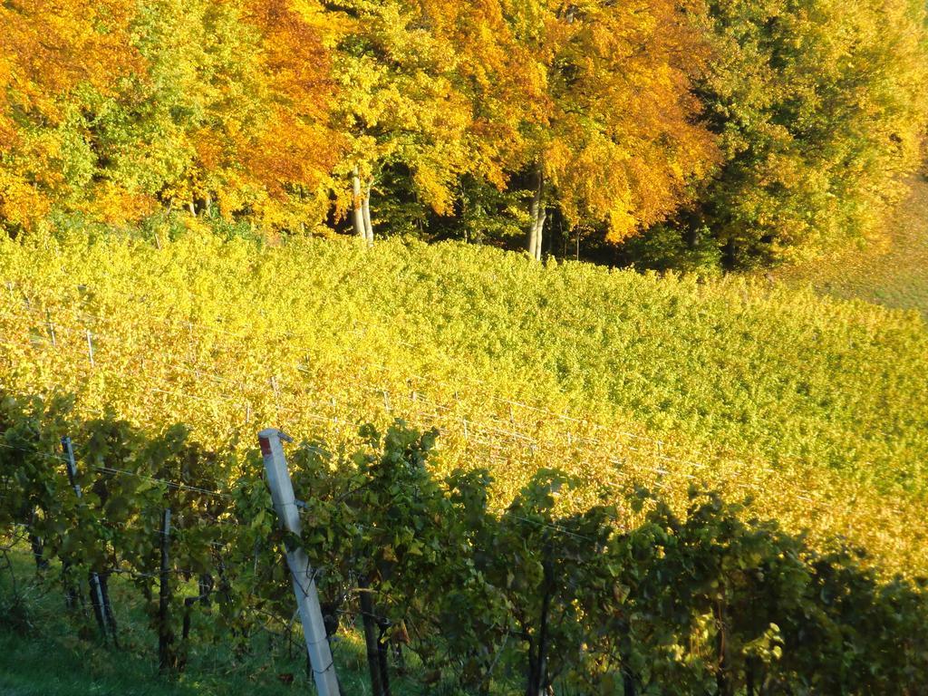 Zweytick Gaestezimmer Weingut Ratsch an der Weinstraße 外观 照片